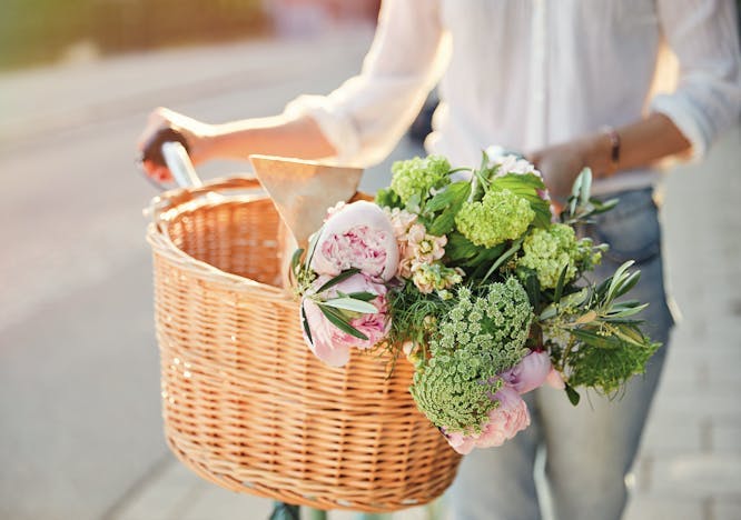 back lit basket bicycle bouquet casual clothing city color image conceptual day eucalyptus evening evening light flower focus on foreground freshness front view handlebar basket horizontal idyll in the middle of jeans leisure light effect malmo metropolis mid adult mid adult women one person only outdoor life outdoors peony plants scandinavia skane standing summer sweden symbolic transport urban scene walking woman