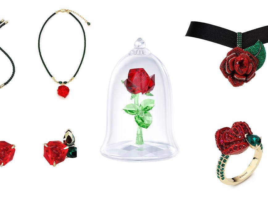 accessories accessory rose plant flower blossom