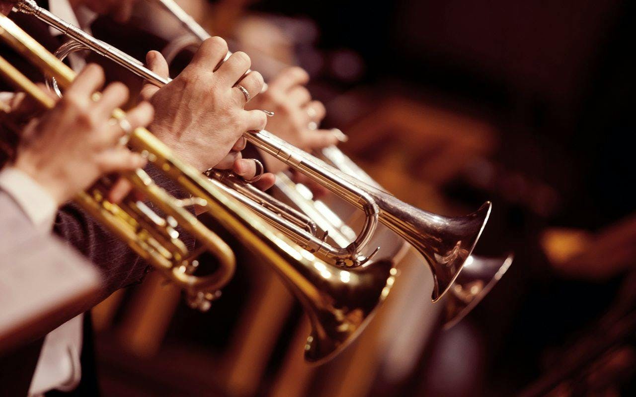 trumpet cornet musical instrument horn brass section person human flugelhorn
