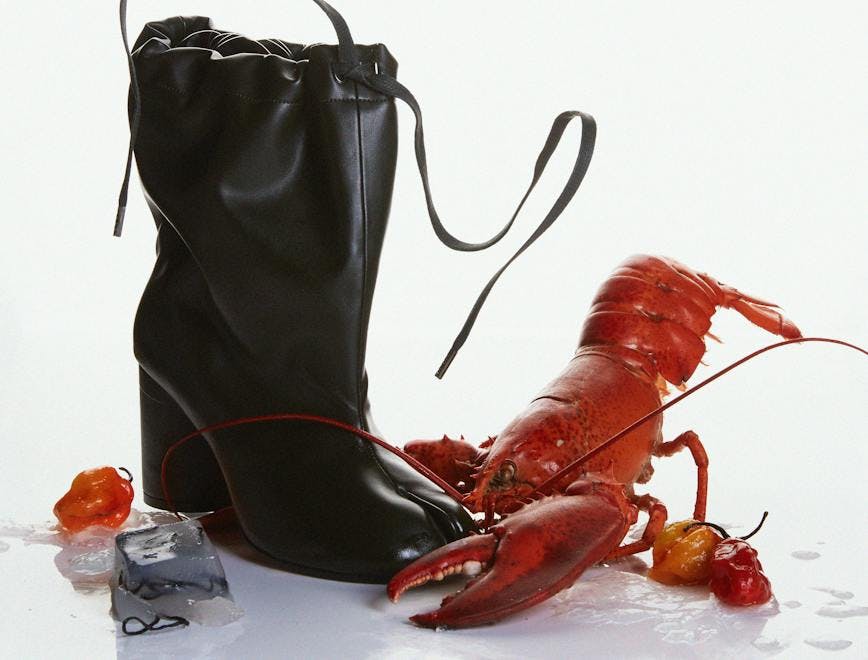 lobster animal seafood food sea life