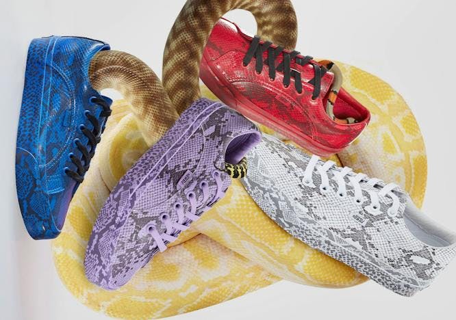 shoe footwear clothing apparel reptile animal snake