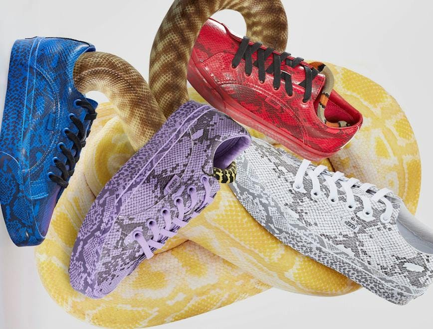 shoe footwear clothing apparel reptile animal snake