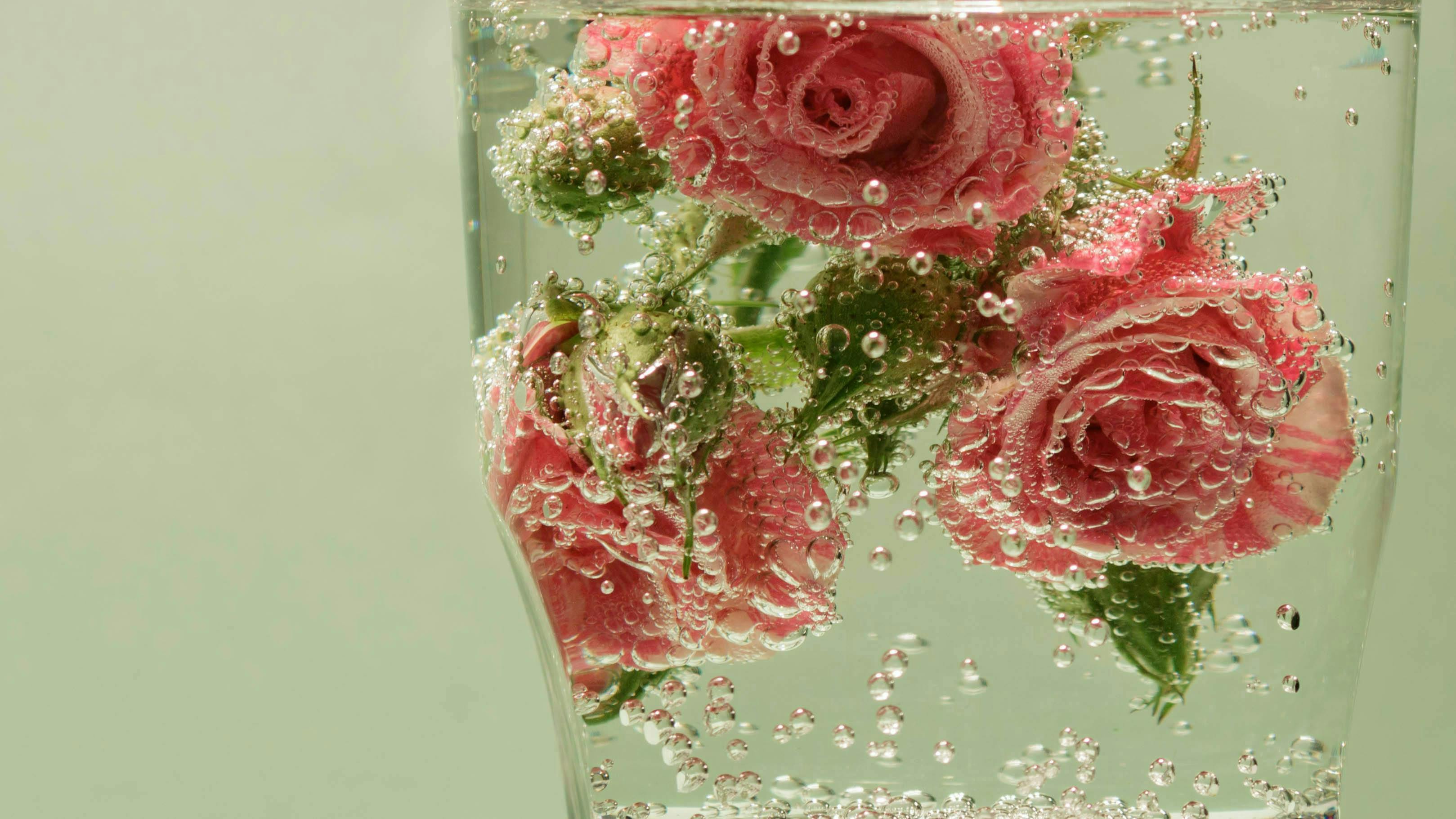 detail,horizontal image plant rose flower blossom flower bouquet flower arrangement