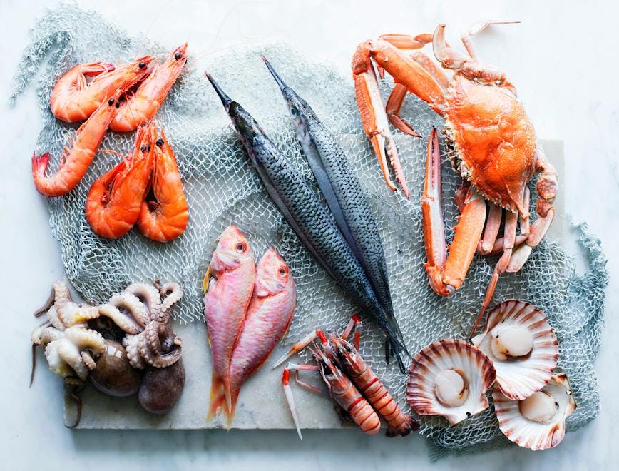 fresh,selection,seafood,king prawn,tiger prawn,red mullet,nobody lobster seafood sea life food animal fish