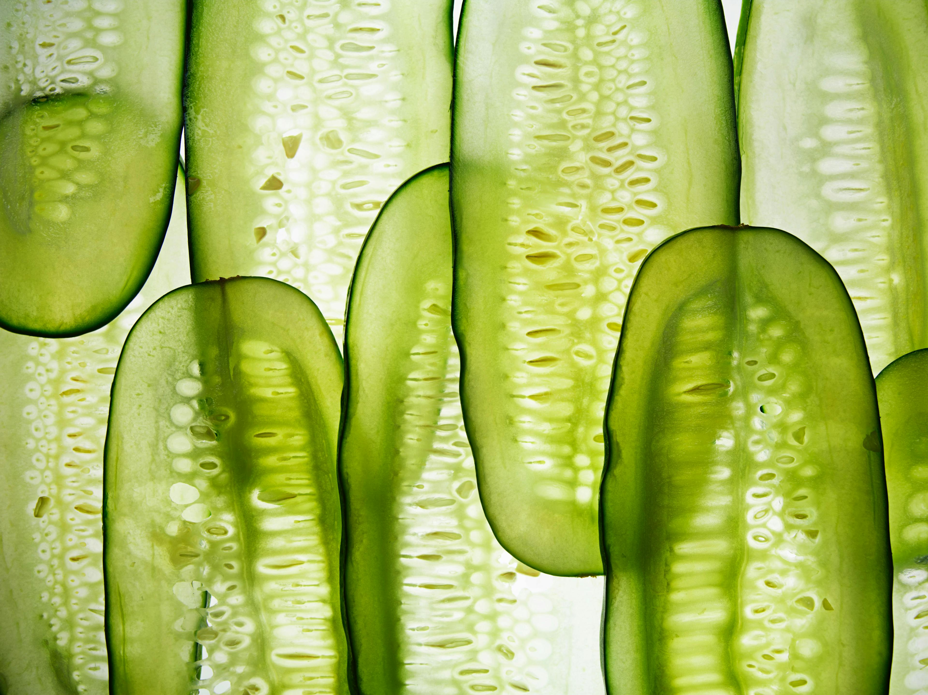 plant food cucumber vegetable