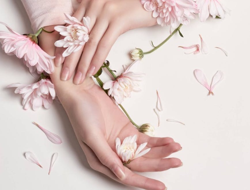 petal flower blossom plant person human manicure nail