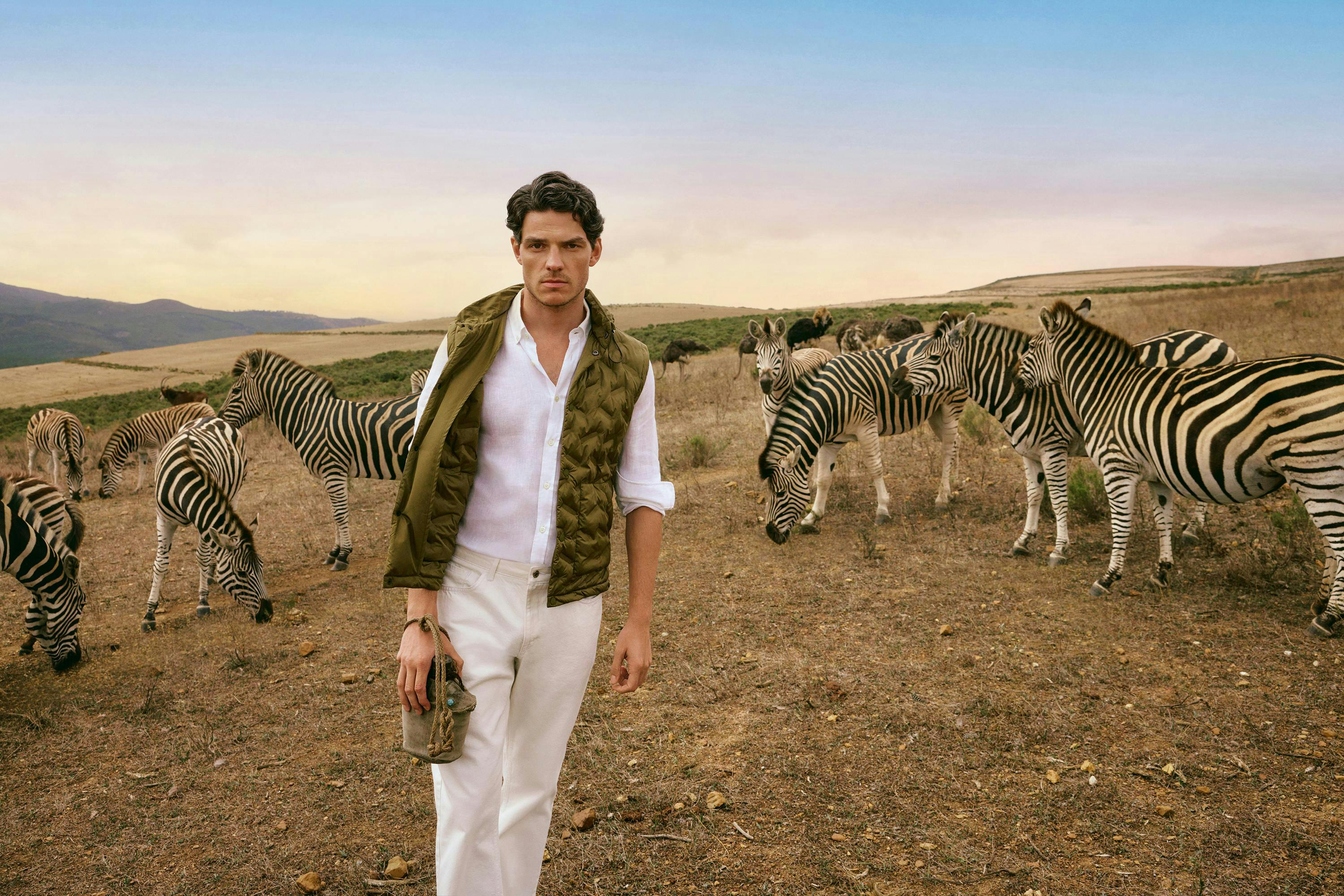 animal mammal wildlife zebra adult male man person coat outdoors